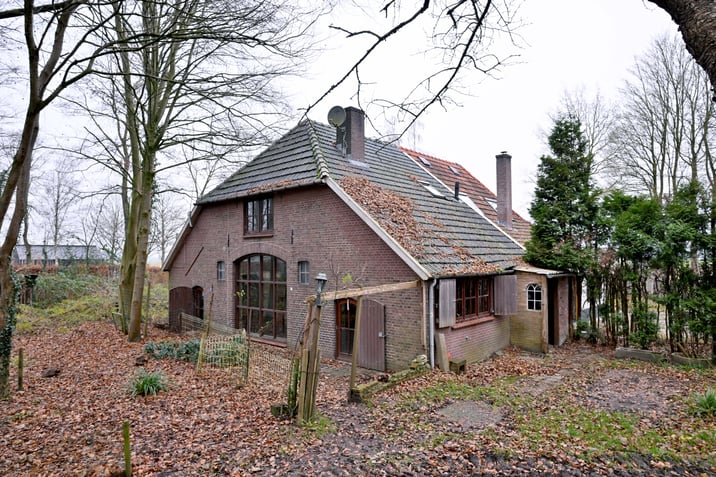 undefined main image