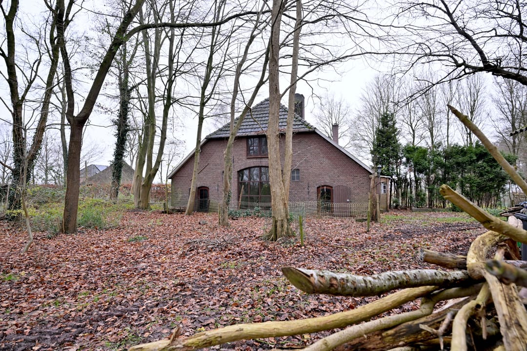 Foto 22 van Lankhorsterstraat 6