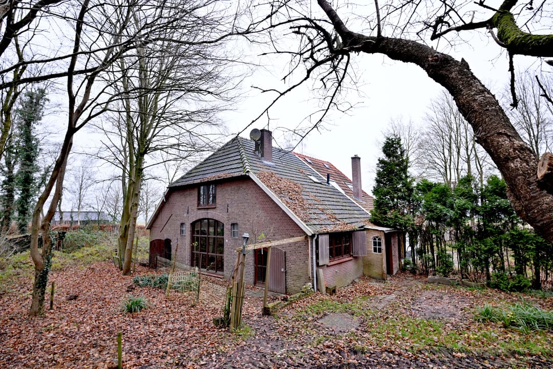 Foto 23 van Lankhorsterstraat 6