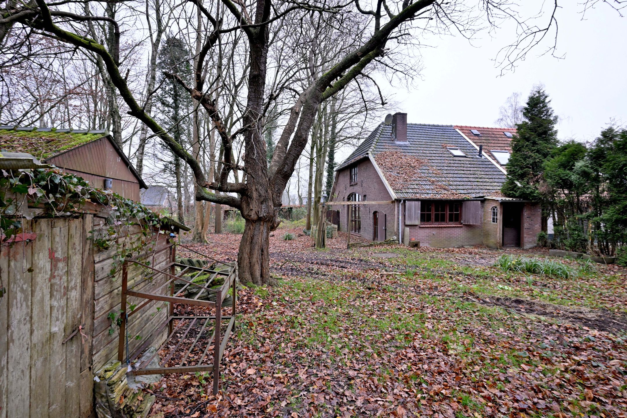 Foto 24 van Lankhorsterstraat 6