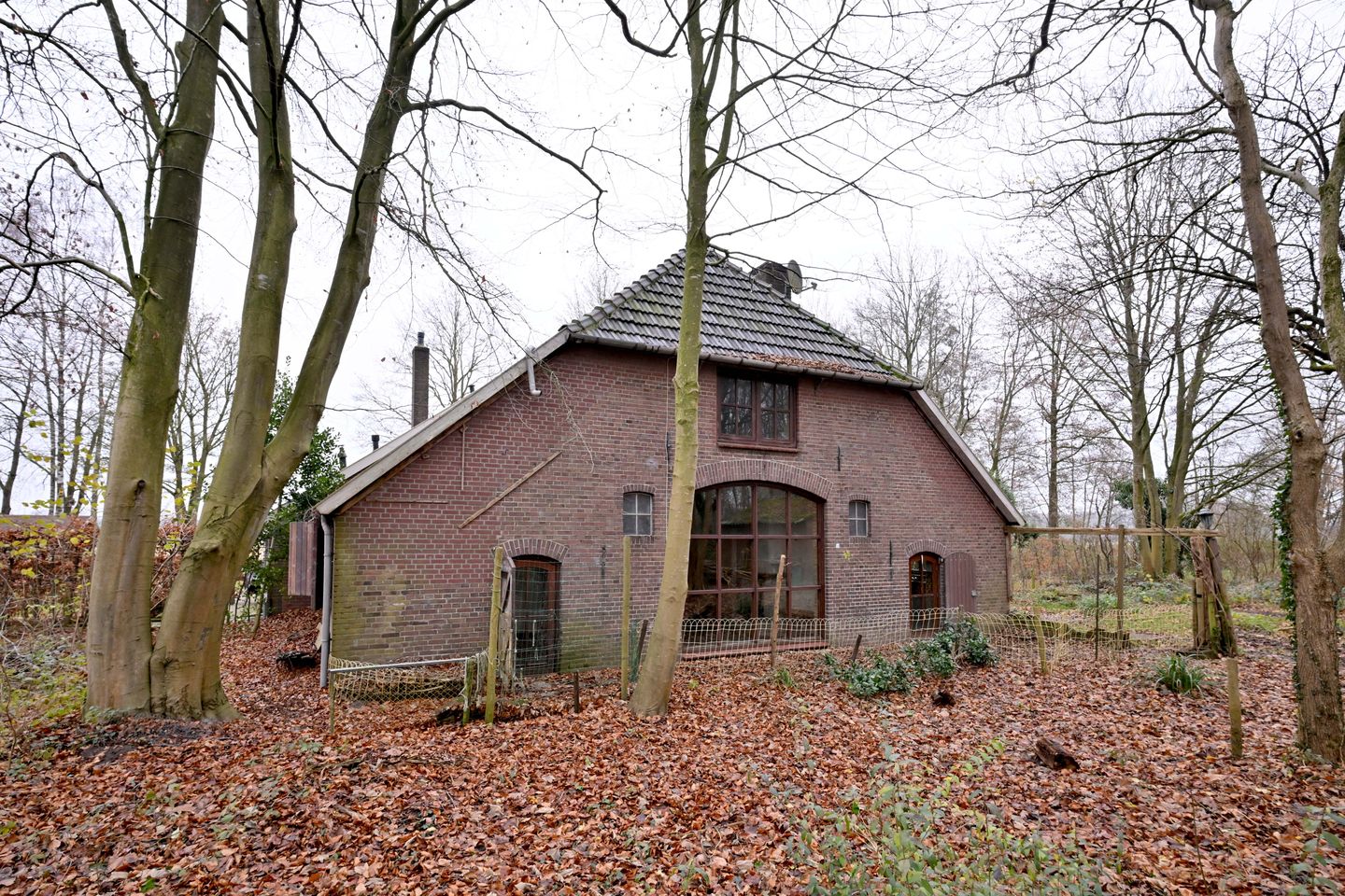 Foto 25 van Lankhorsterstraat 6