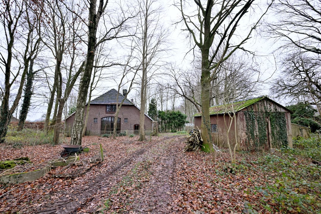 Foto 26 van Lankhorsterstraat 6