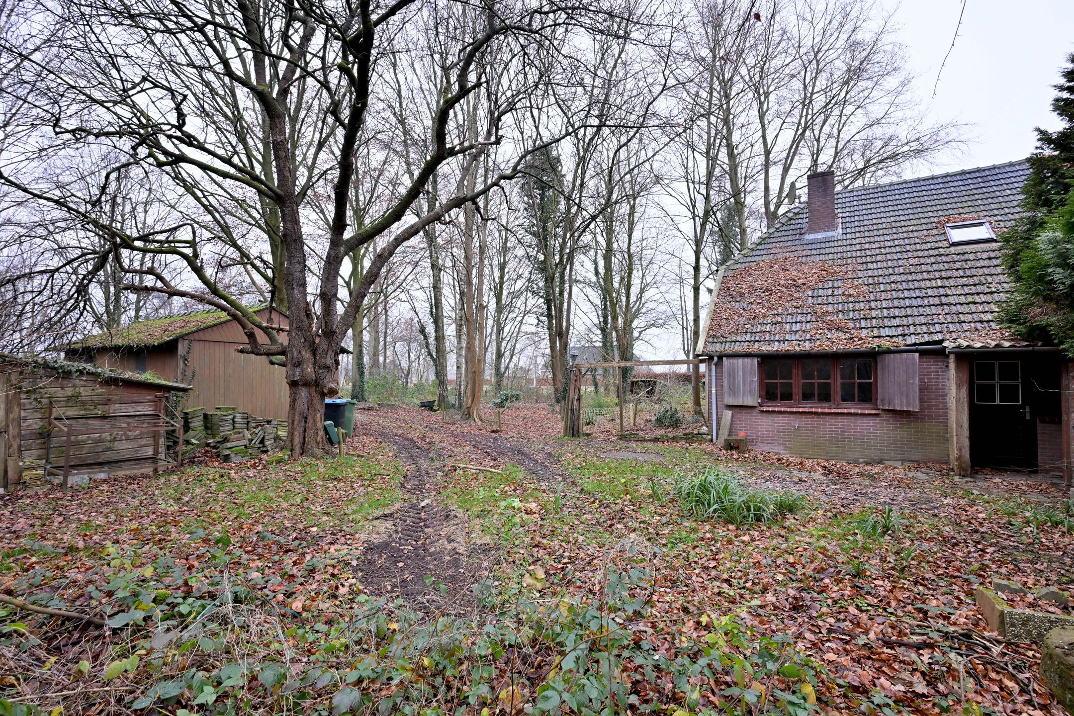 Foto 27 van Lankhorsterstraat 6