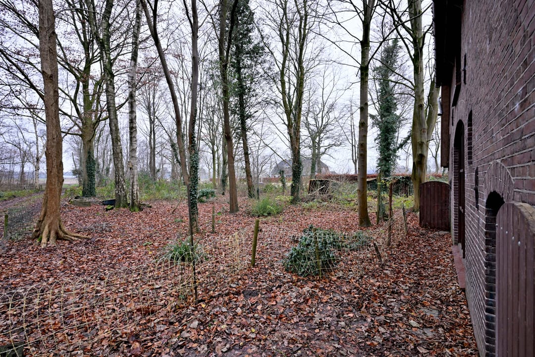 Foto 28 van Lankhorsterstraat 6