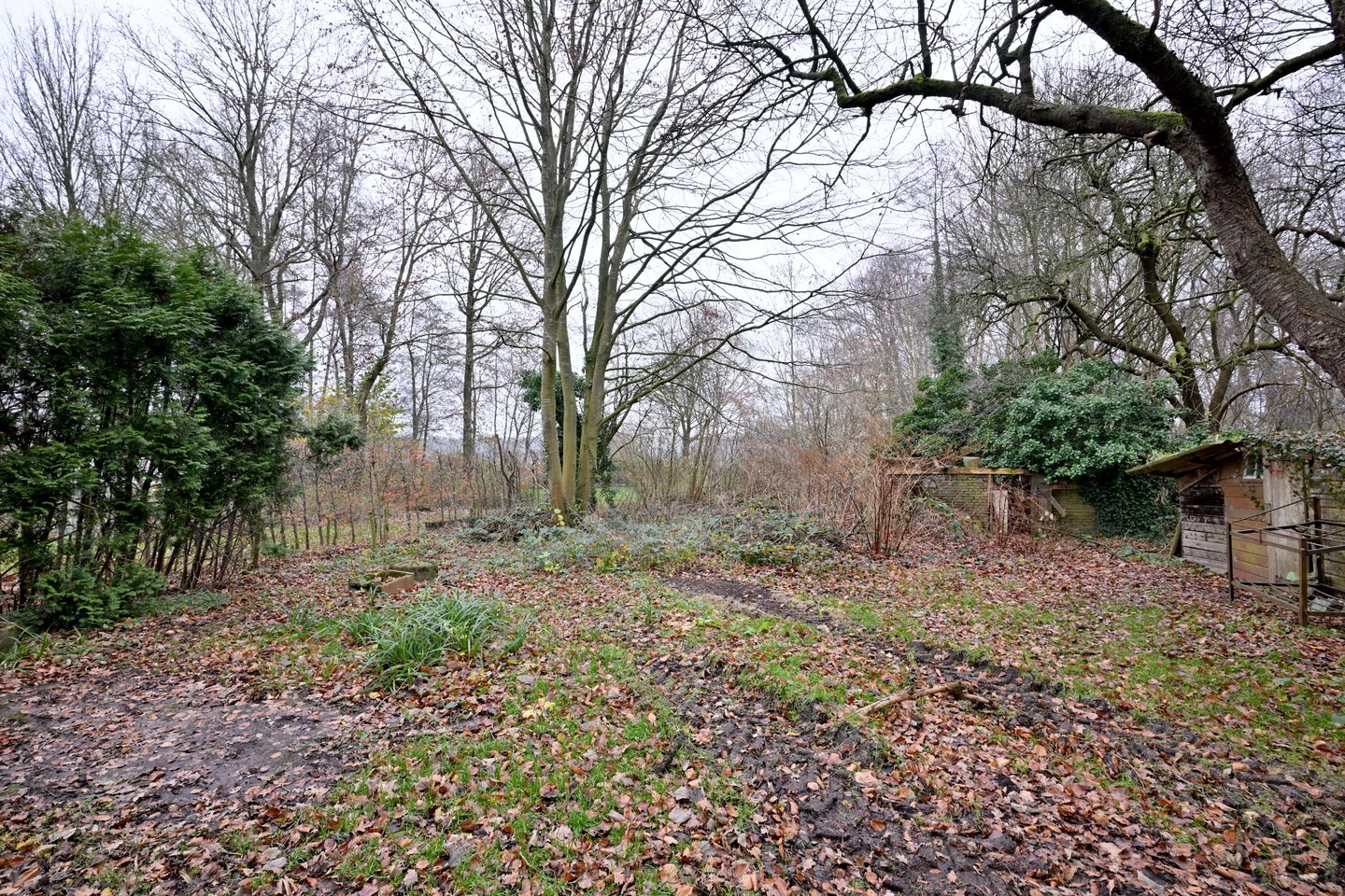 Foto 29 van Lankhorsterstraat 6