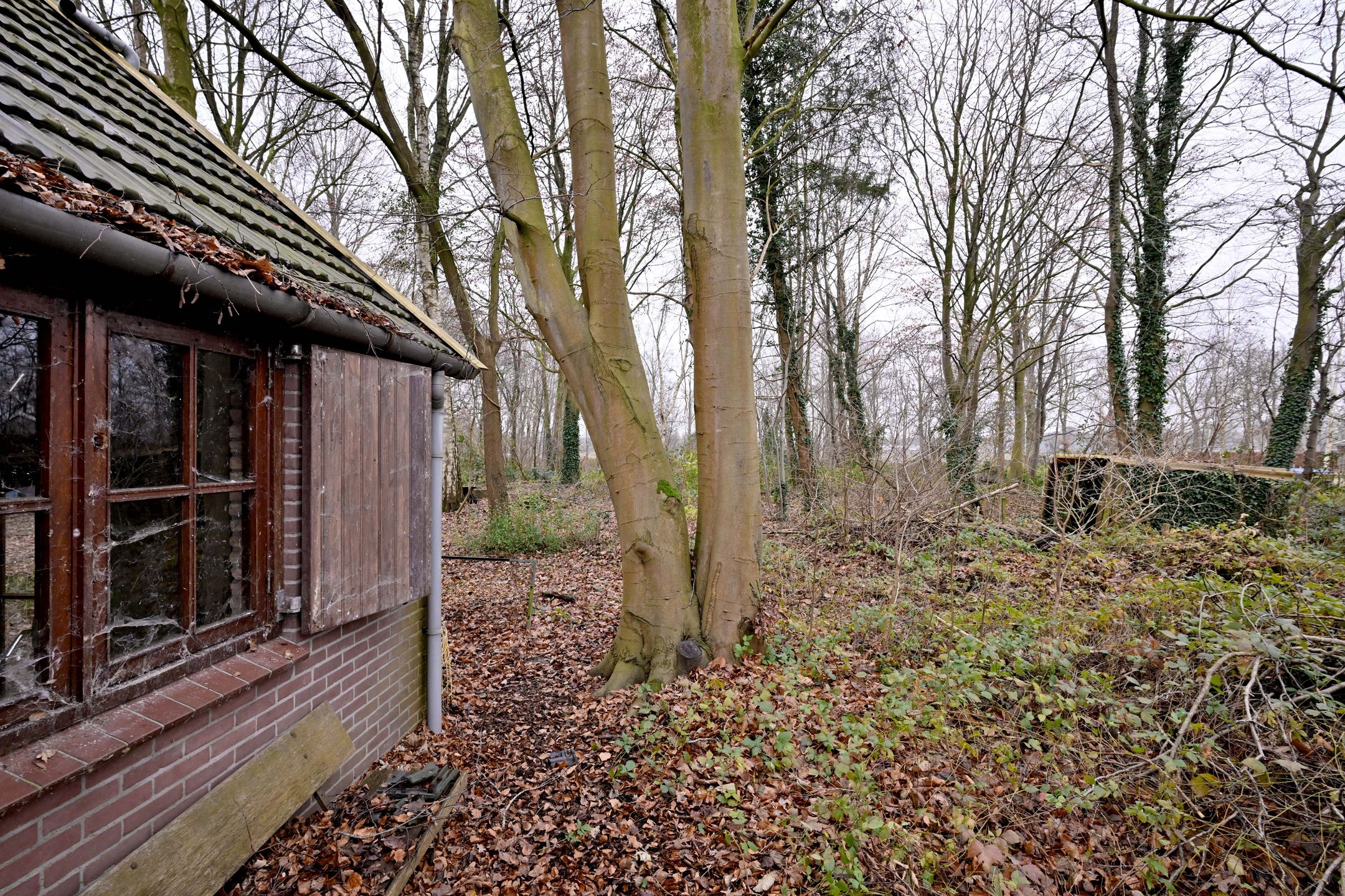 Foto 30 van Lankhorsterstraat 6