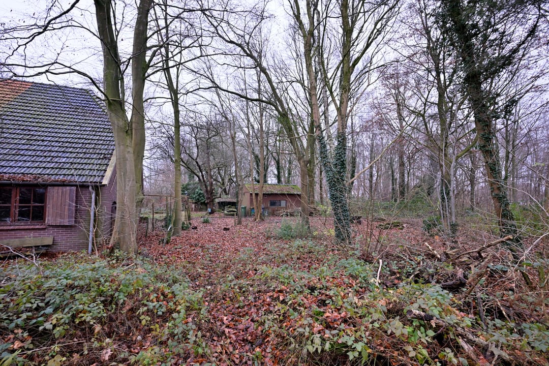 Foto 31 van Lankhorsterstraat 6