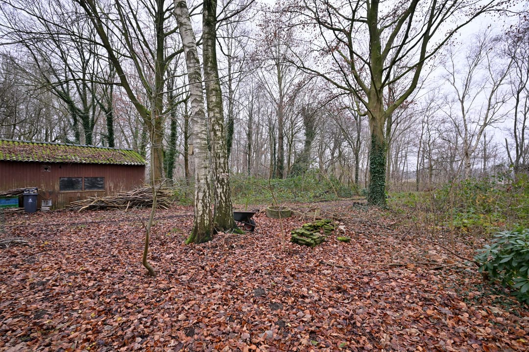 Foto 32 van Lankhorsterstraat 6