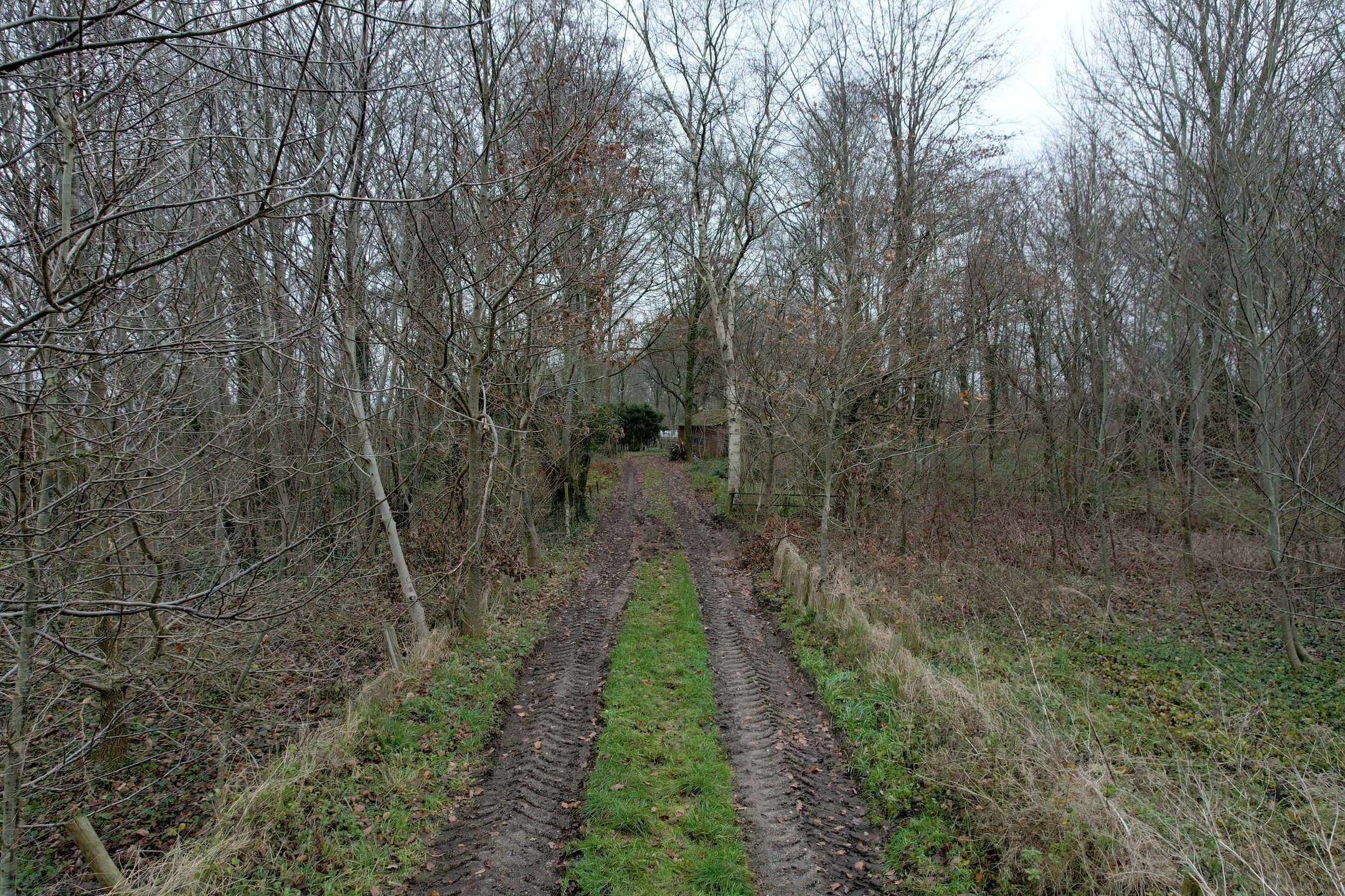 Foto 33 van Lankhorsterstraat 6