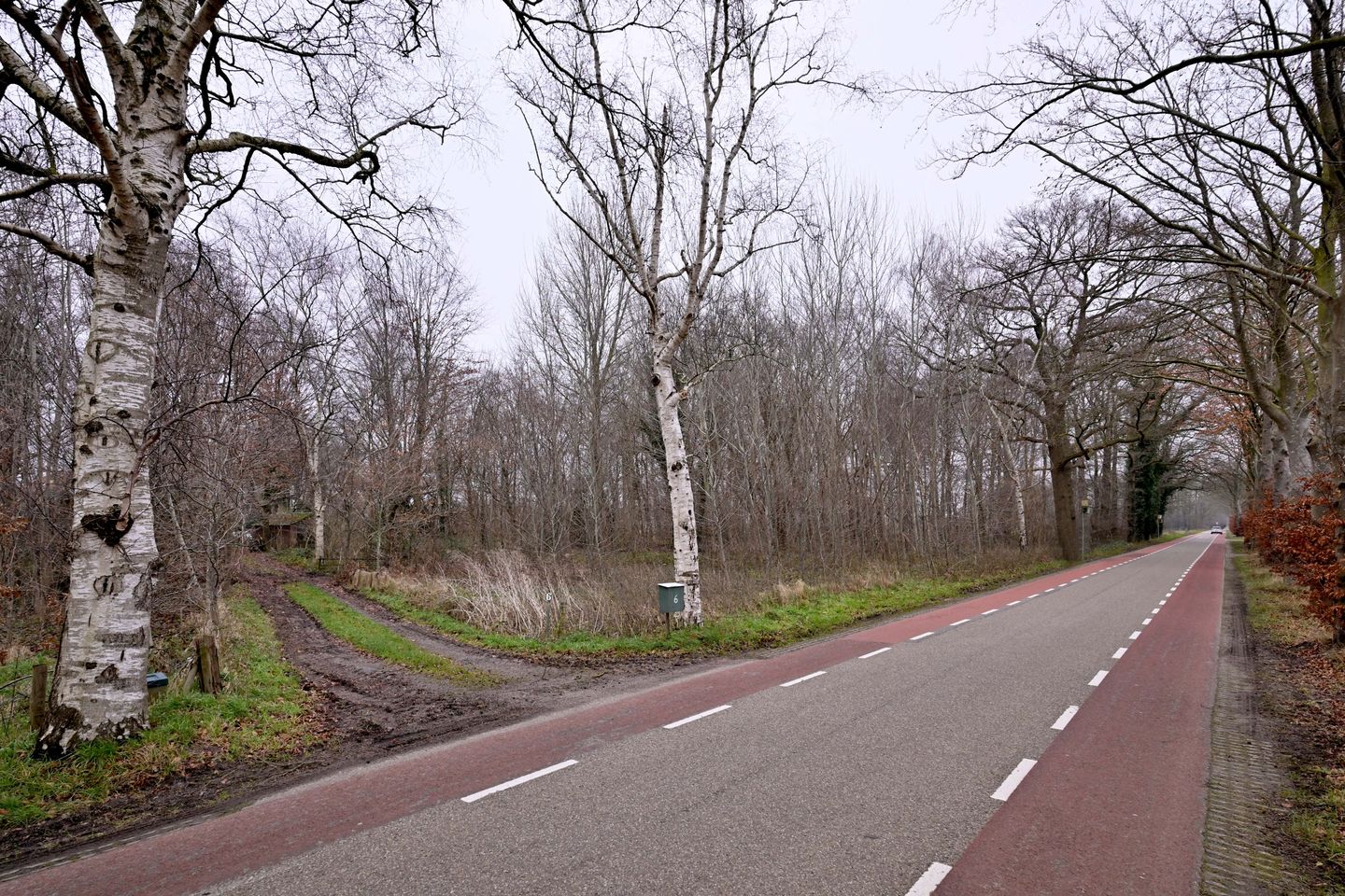 Foto 34 van Lankhorsterstraat 6