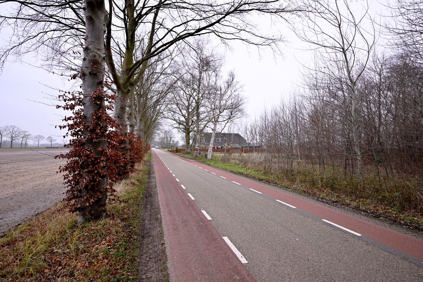 Foto 35 van Lankhorsterstraat 6