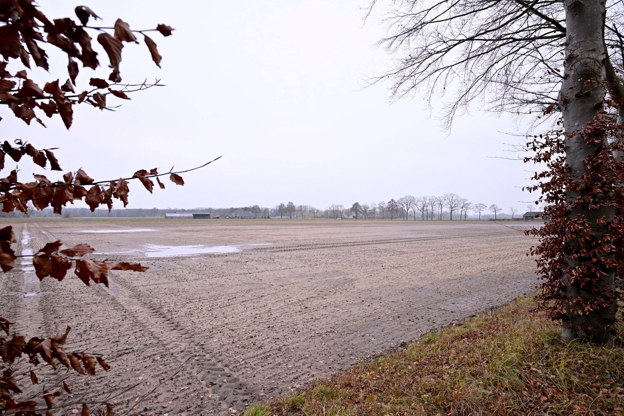 Foto 36 van Lankhorsterstraat 6