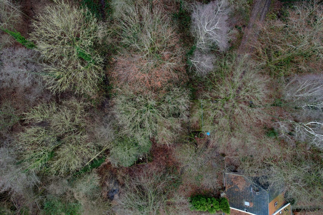 Foto 37 van Lankhorsterstraat 6