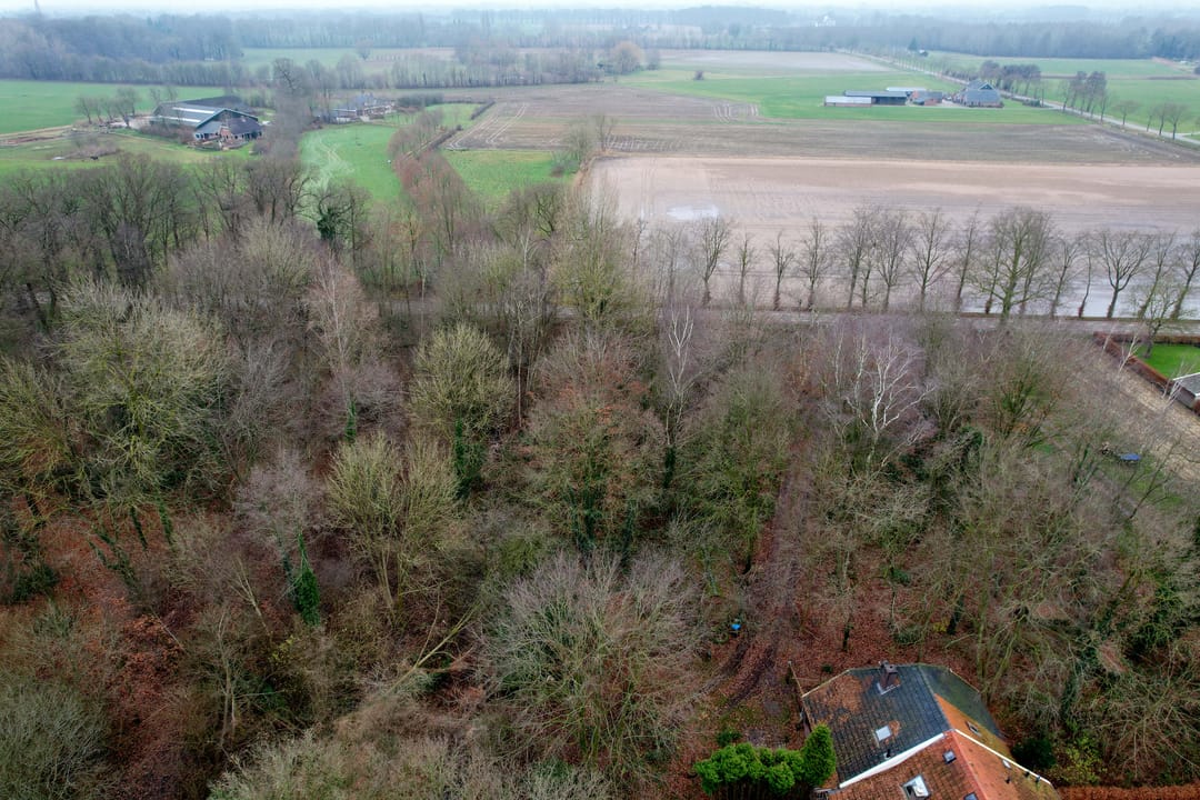 Foto 38 van Lankhorsterstraat 6