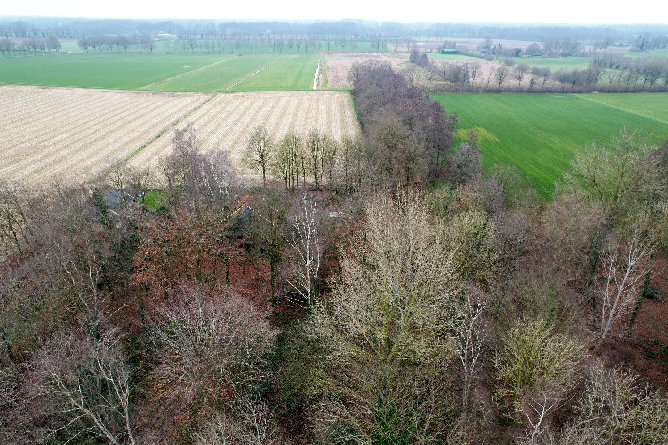 Foto 39 van Lankhorsterstraat 6