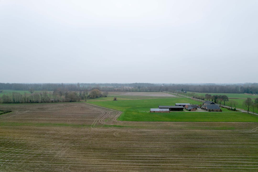 Foto 41 van Lankhorsterstraat 6