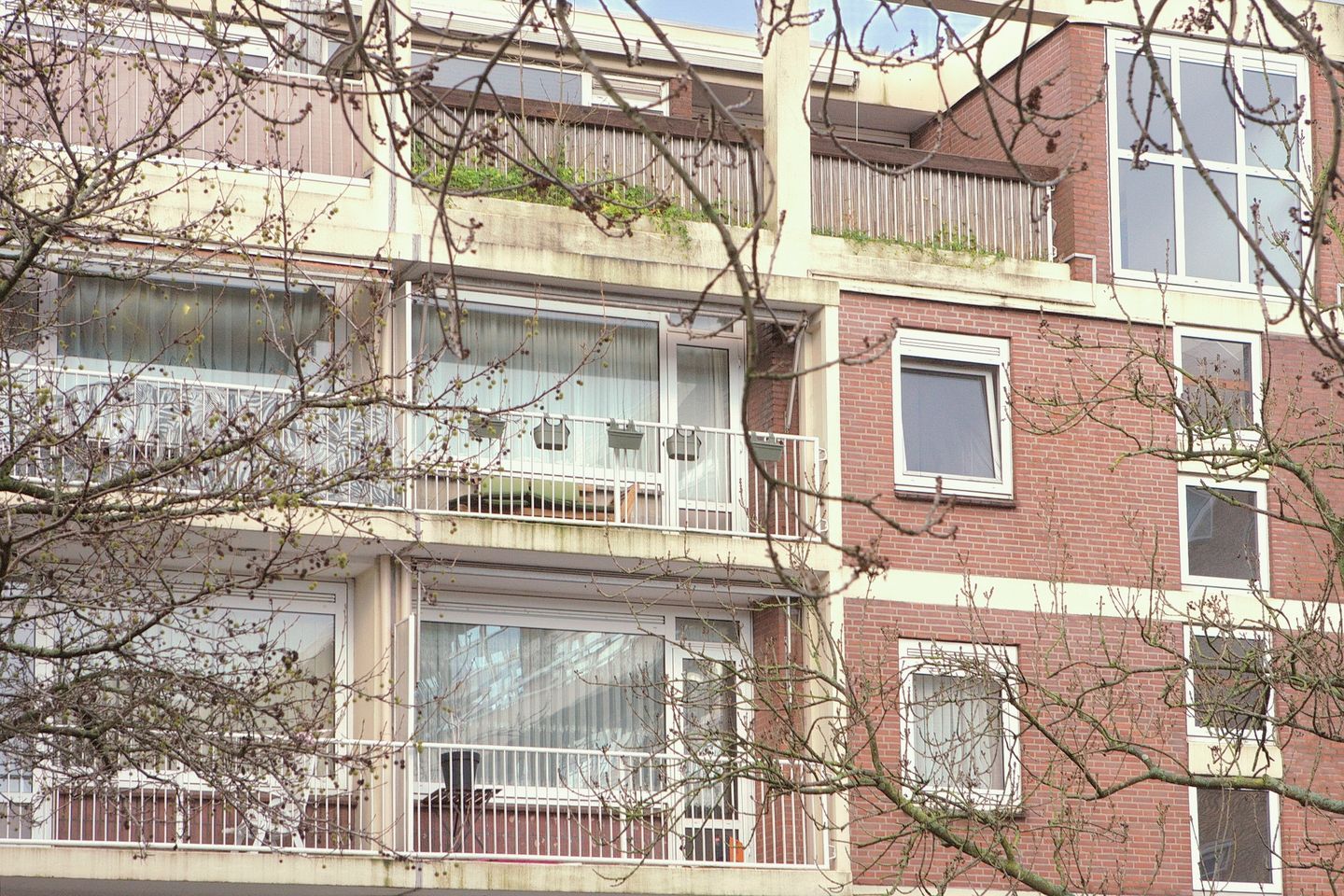 Photo 19 of Leyweg 824