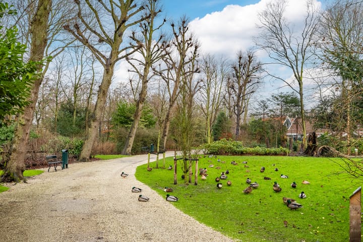 Photo 54 of Wandelweg 39