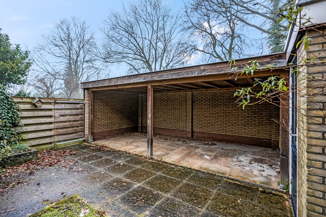 Foto 23 van de Reehorst 31