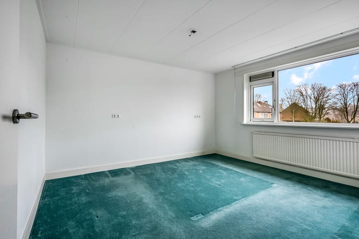 Foto 12 van de Hank 2