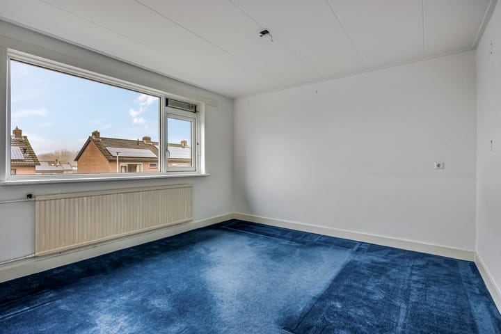 Foto 11 van de Hank 2