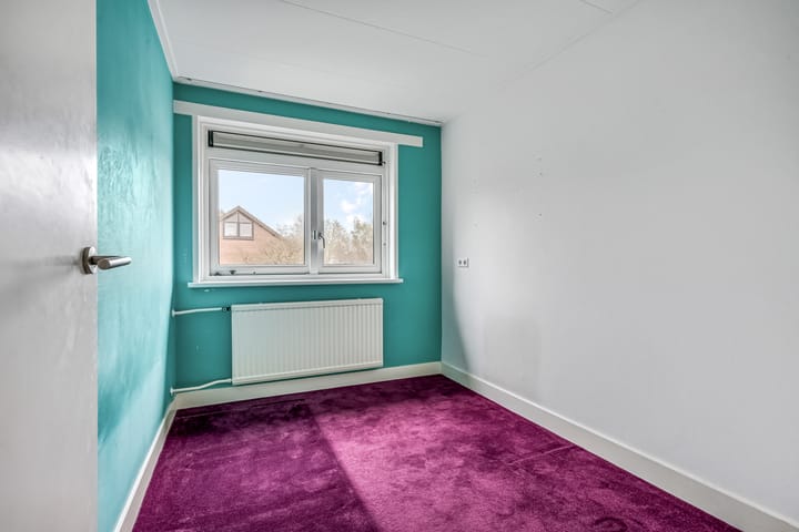 Foto 13 van de Hank 2