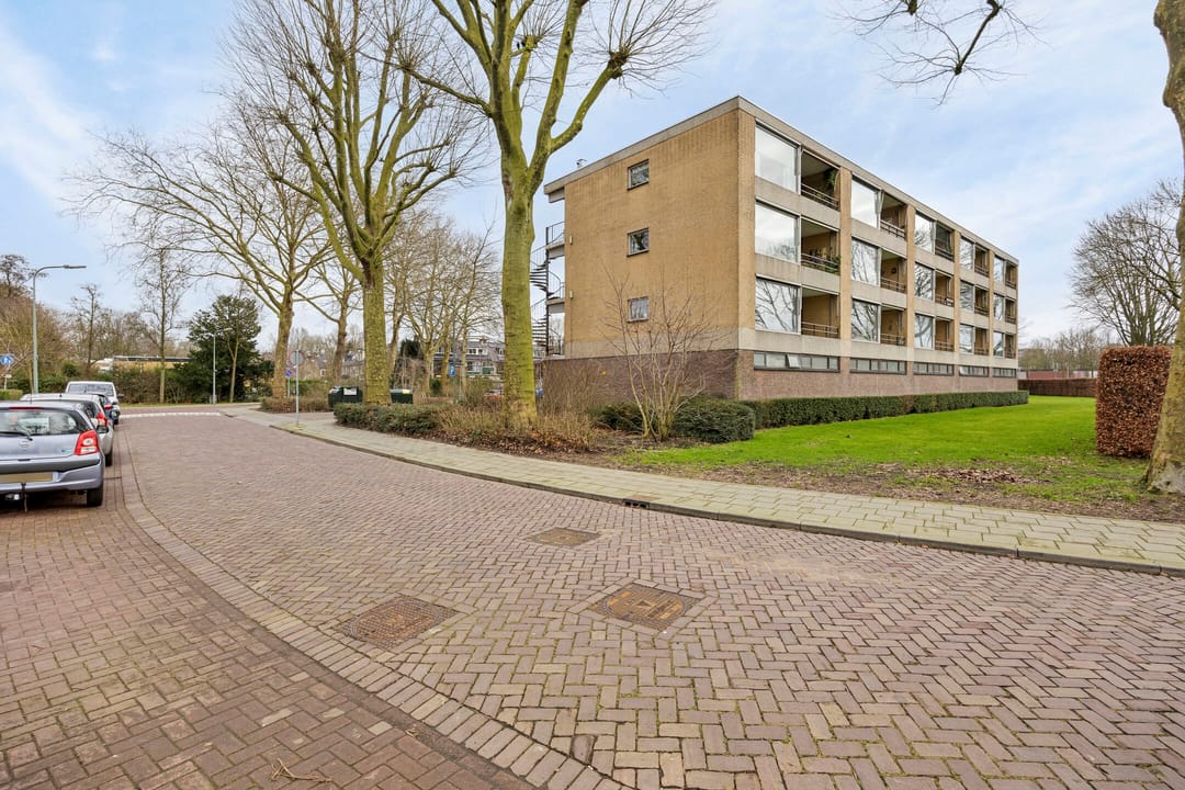 Foto 1 van Campanula 130