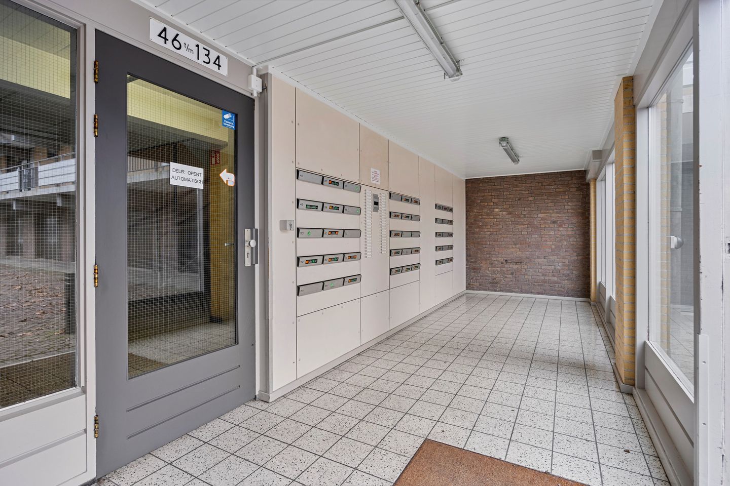 Foto 4 van Campanula 130