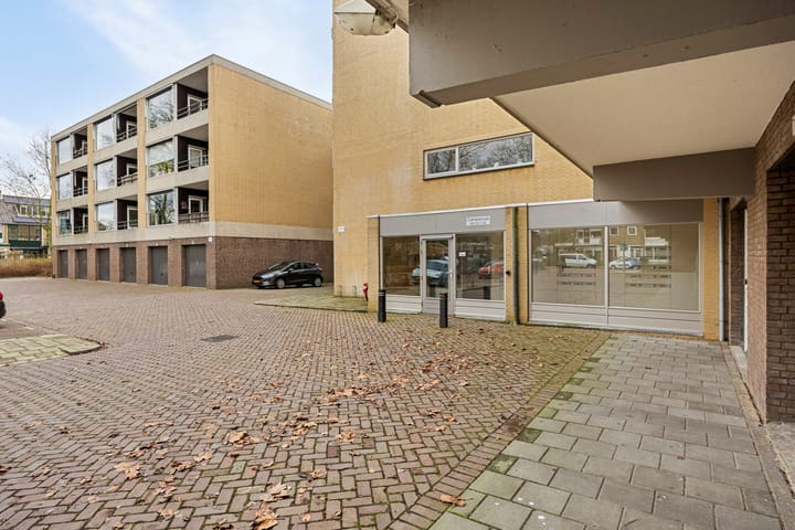 Foto 3 van Campanula 130