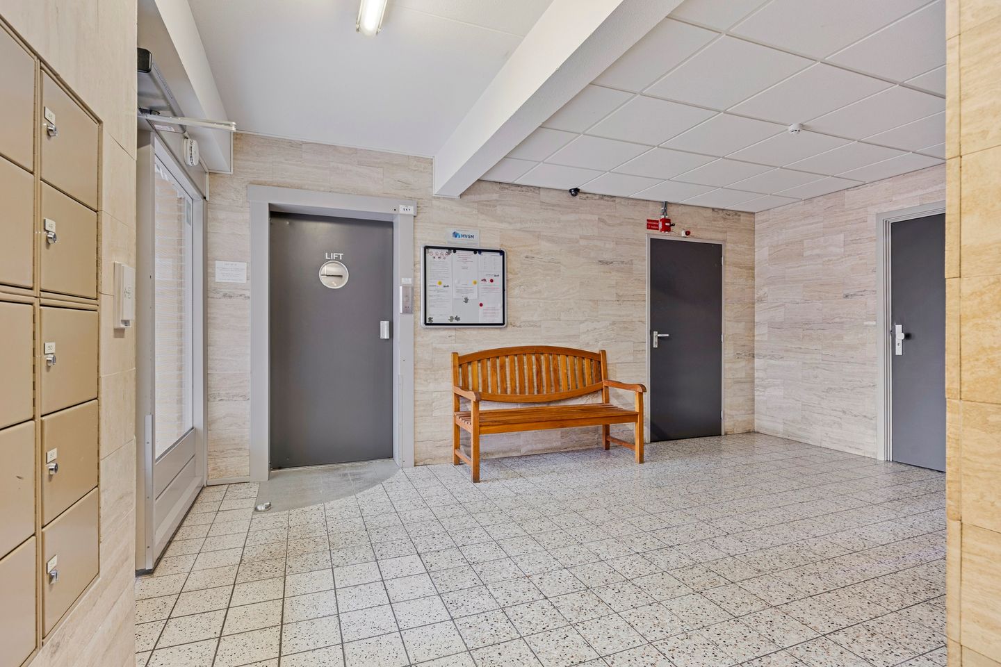 Foto 5 van Campanula 130