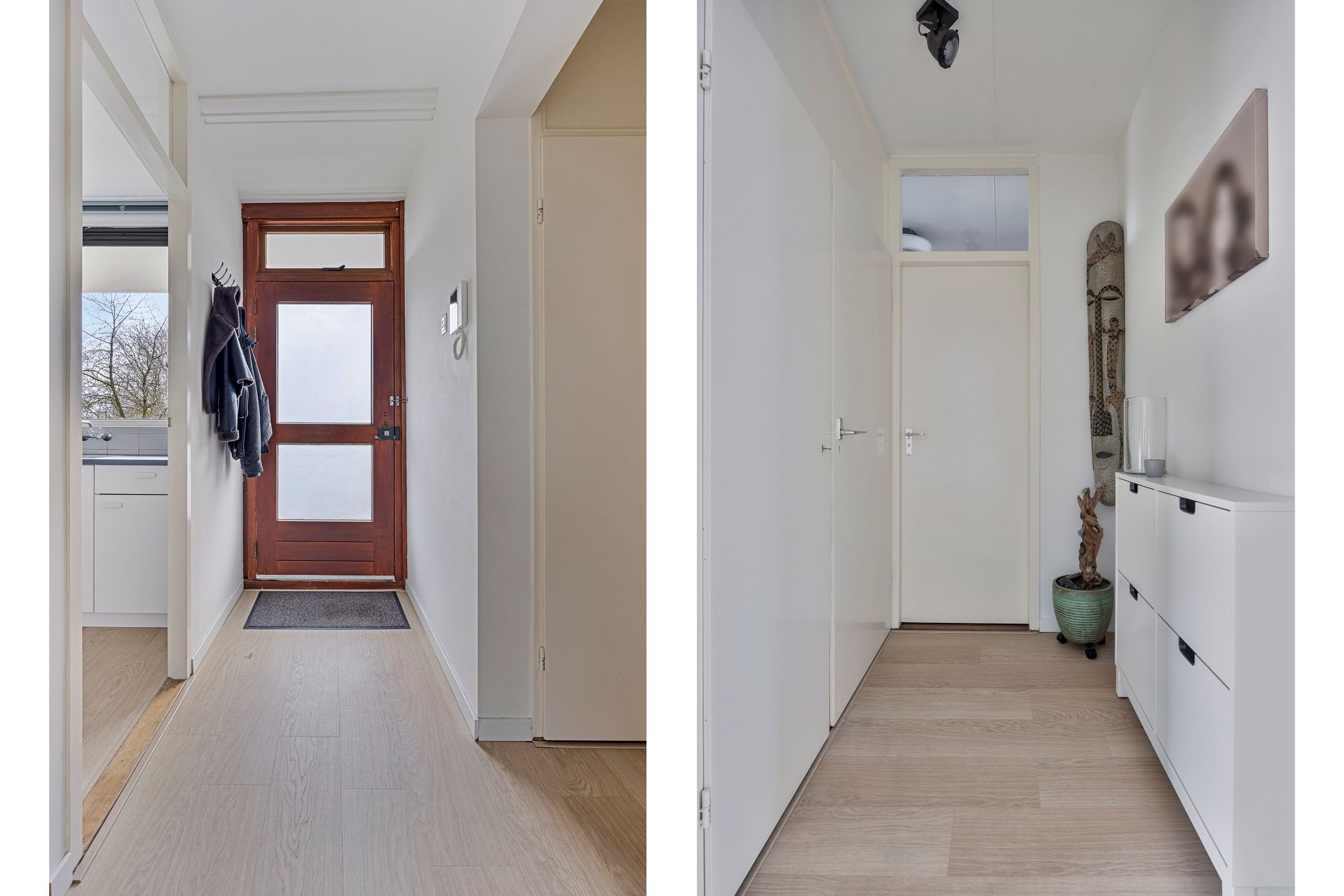 Foto 6 van Campanula 130