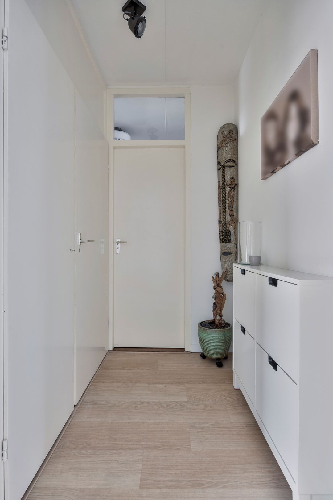 Foto 7 van Campanula 130