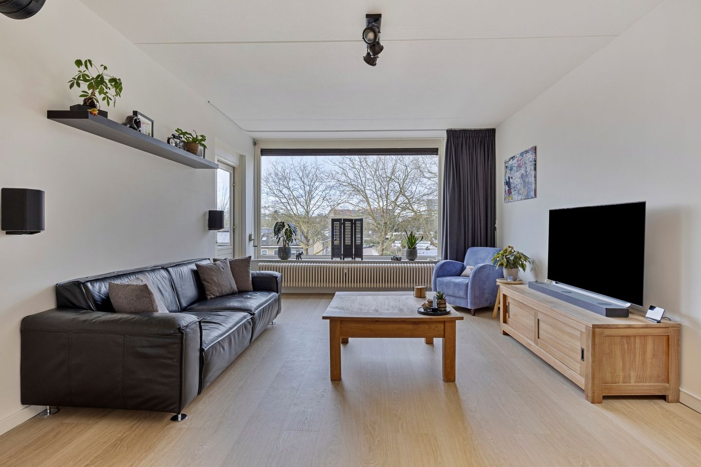 Foto 10 van Campanula 130