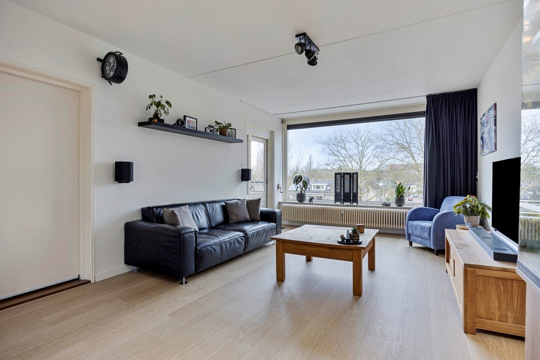 Foto 11 van Campanula 130