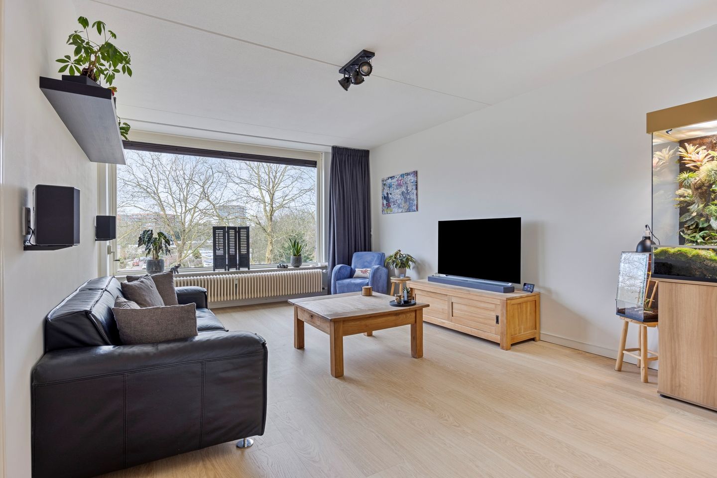 Foto 14 van Campanula 130