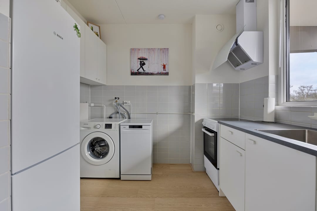 Foto 16 van Campanula 130