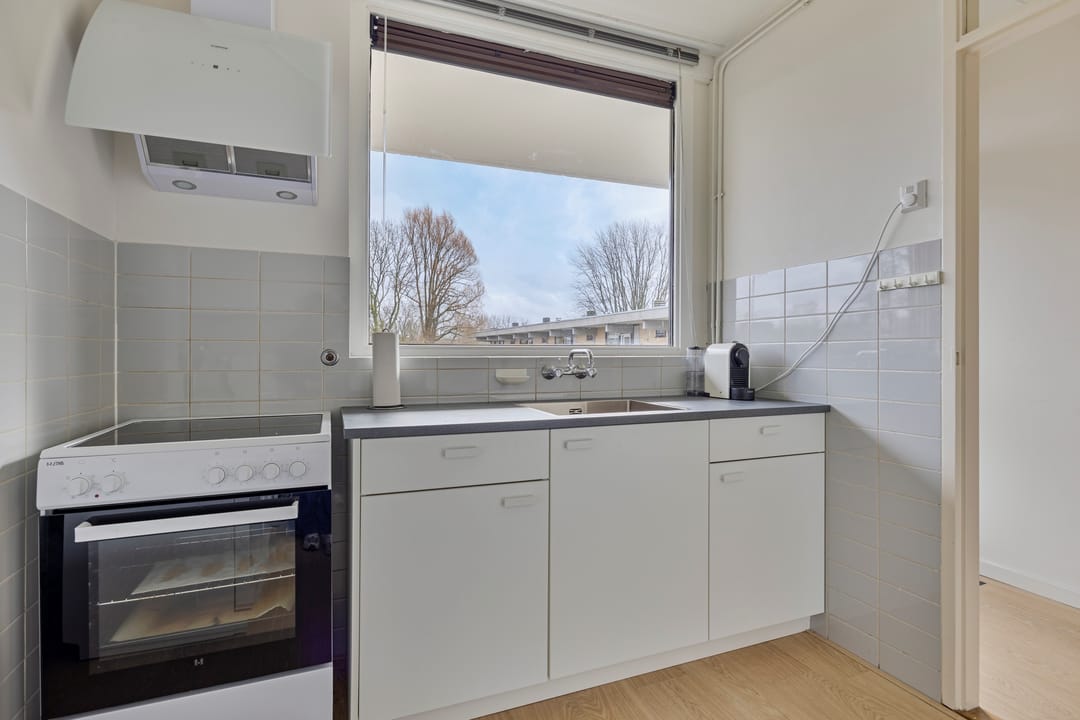 Foto 17 van Campanula 130