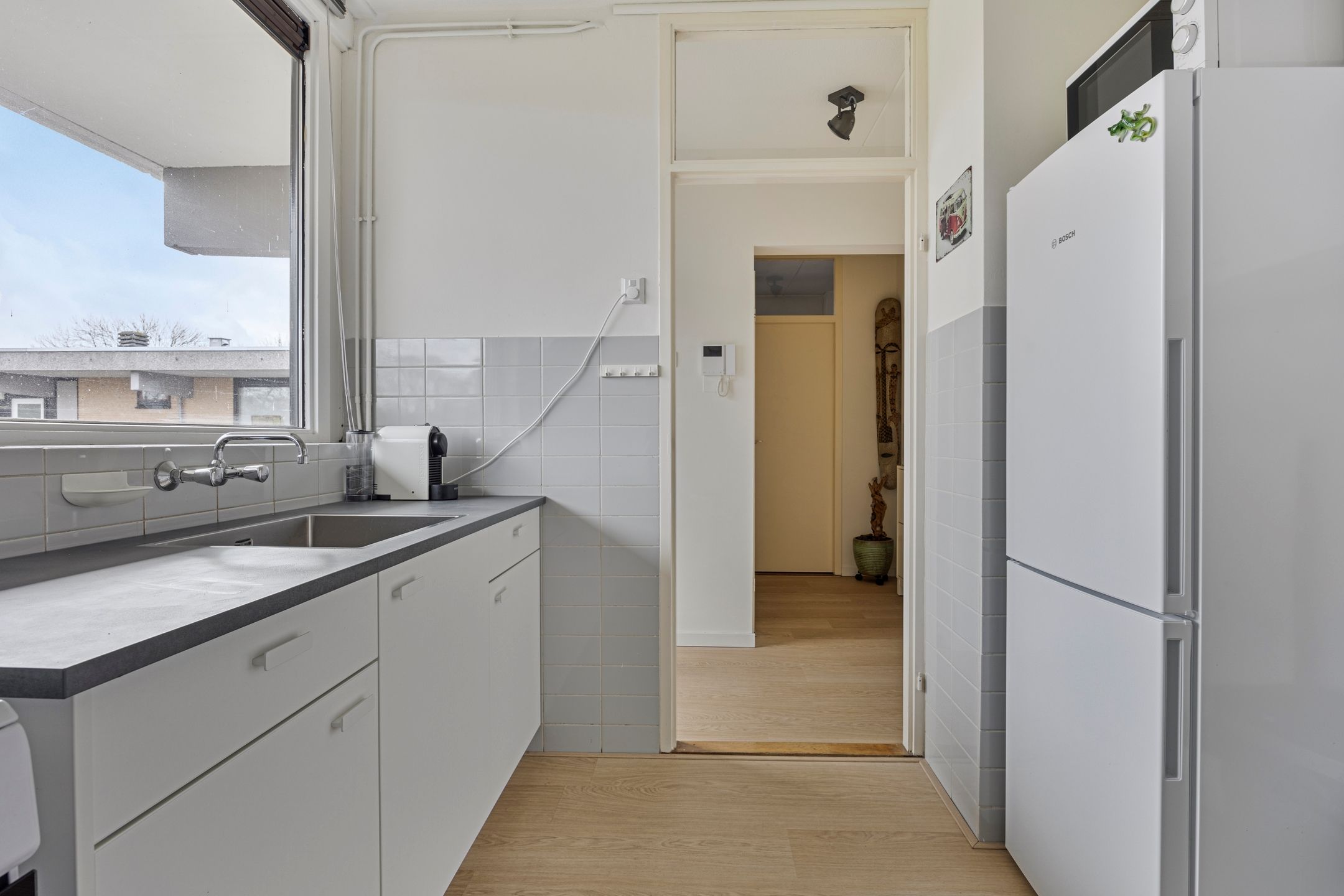 Foto 18 van Campanula 130