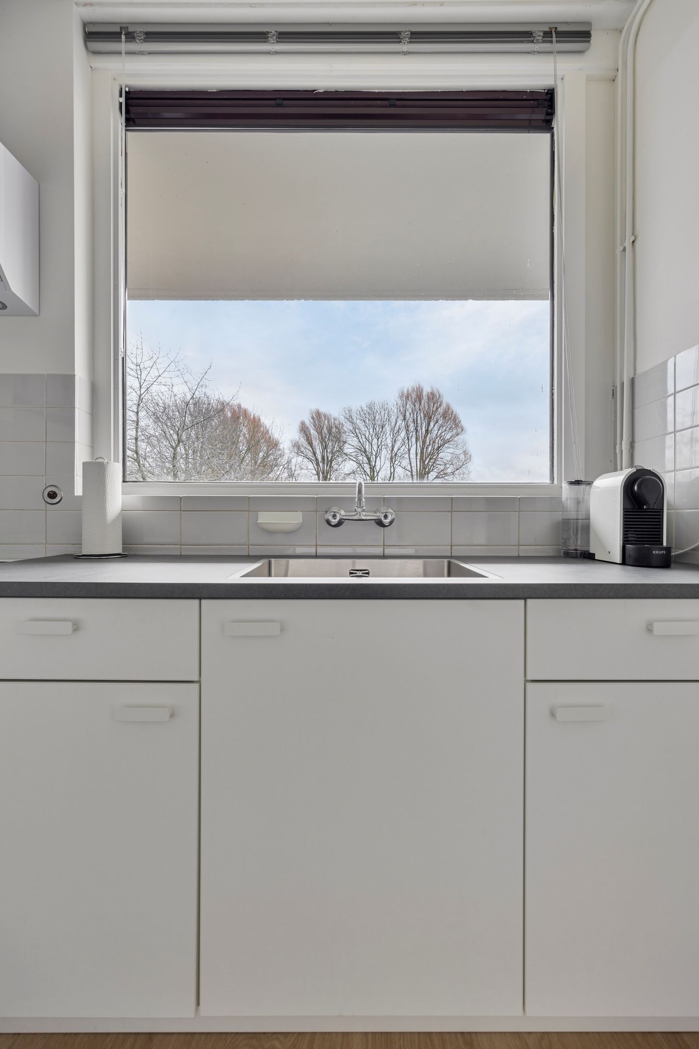 Foto 19 van Campanula 130