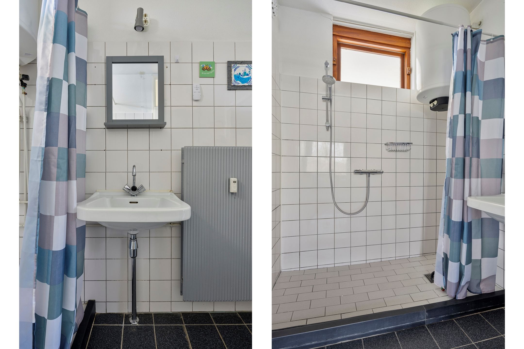 Foto 24 van Campanula 130