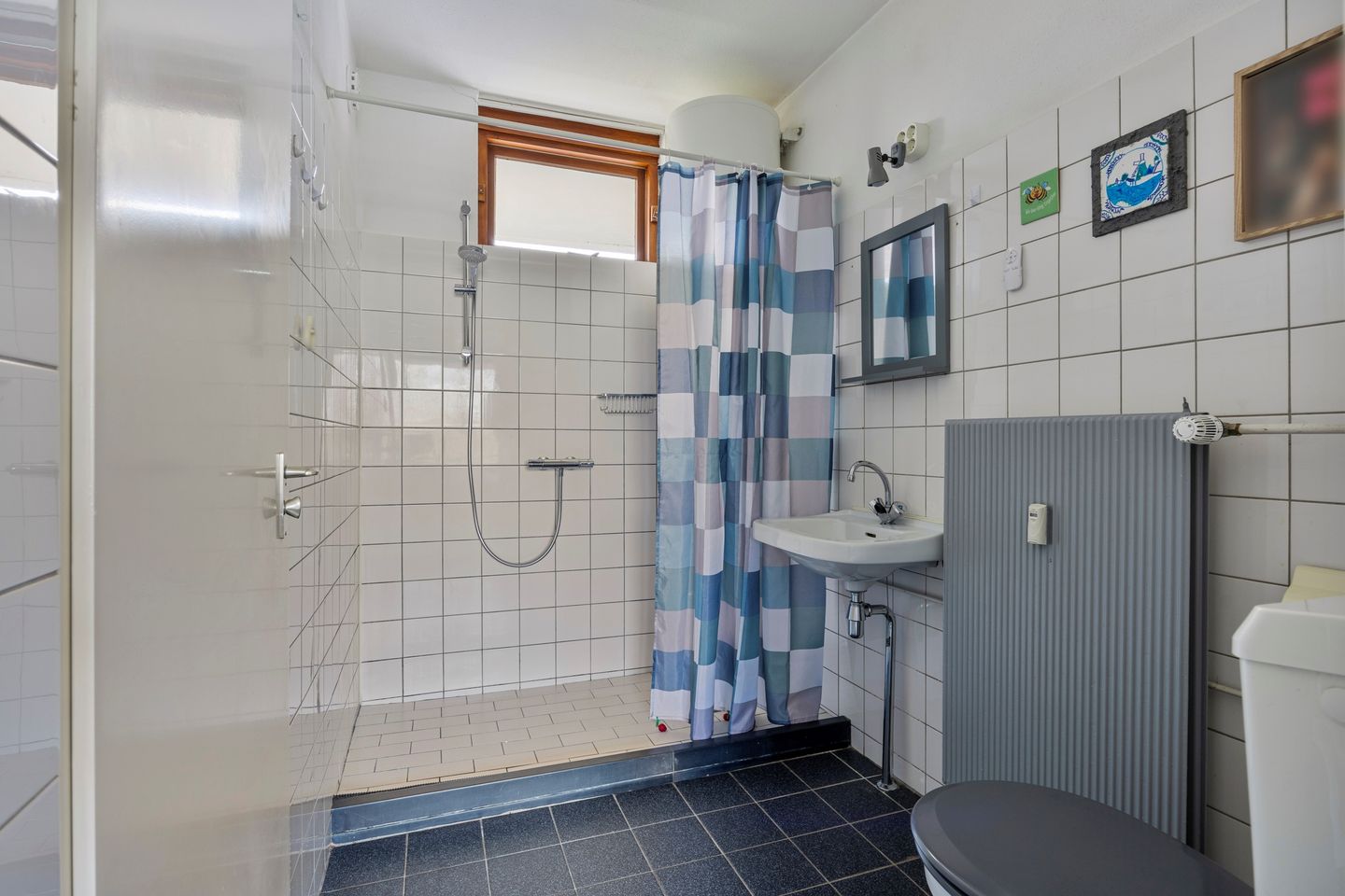 Foto 25 van Campanula 130