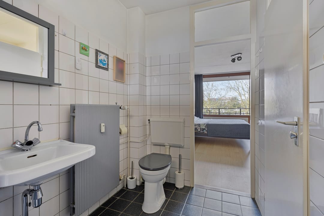 Foto 26 van Campanula 130