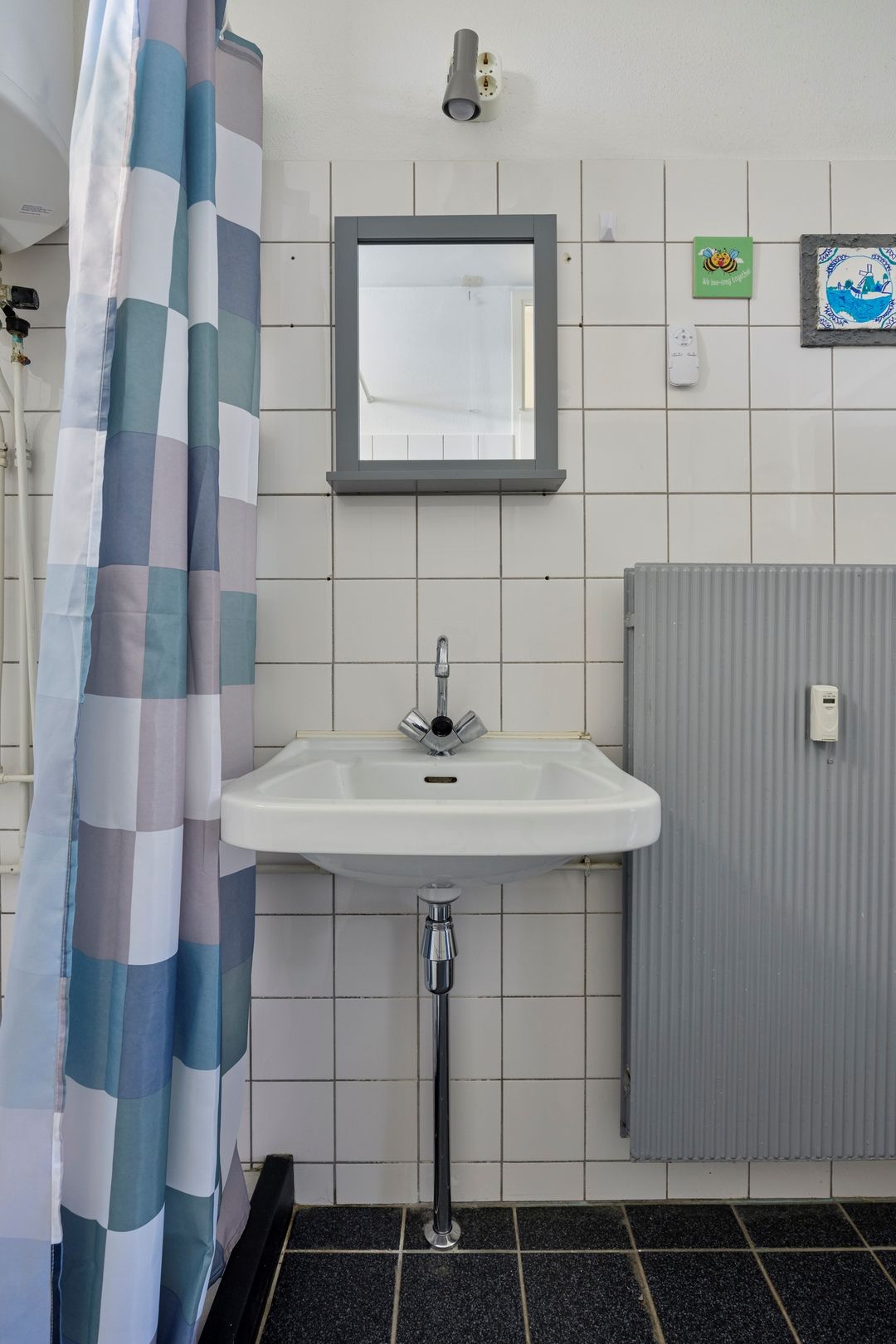 Foto 28 van Campanula 130