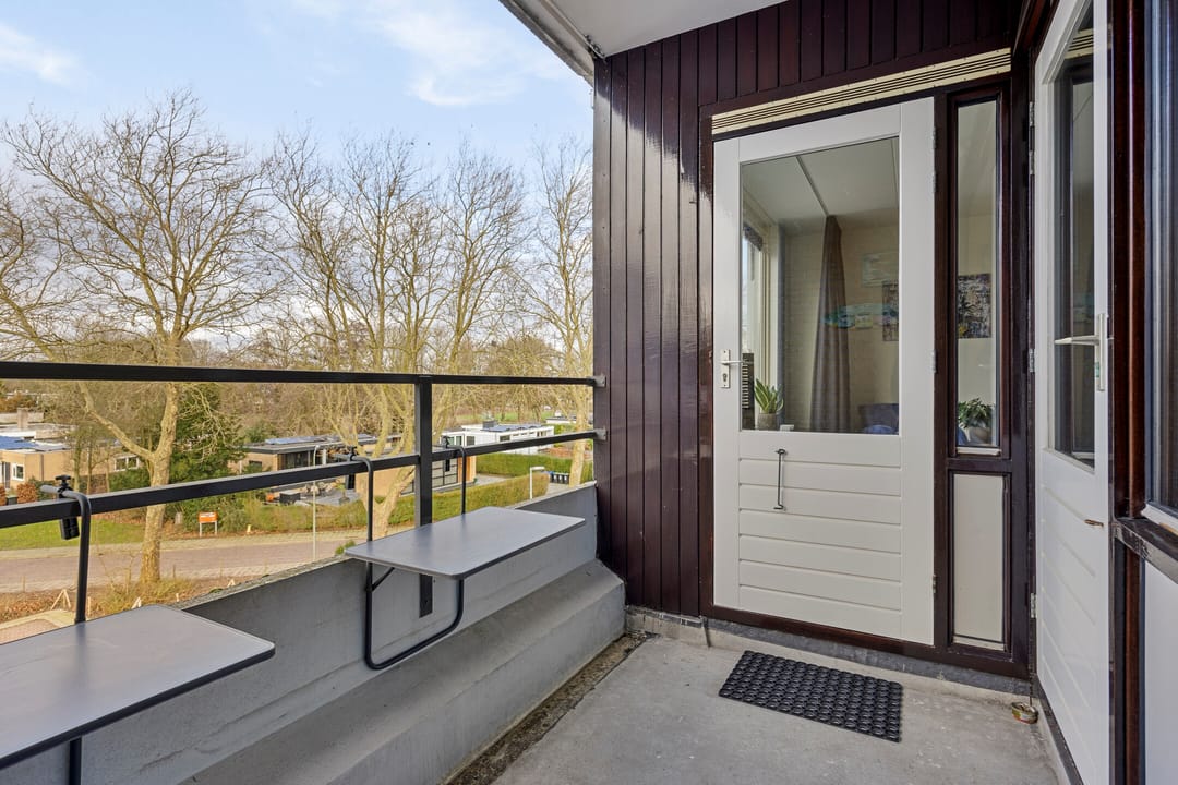 Foto 31 van Campanula 130