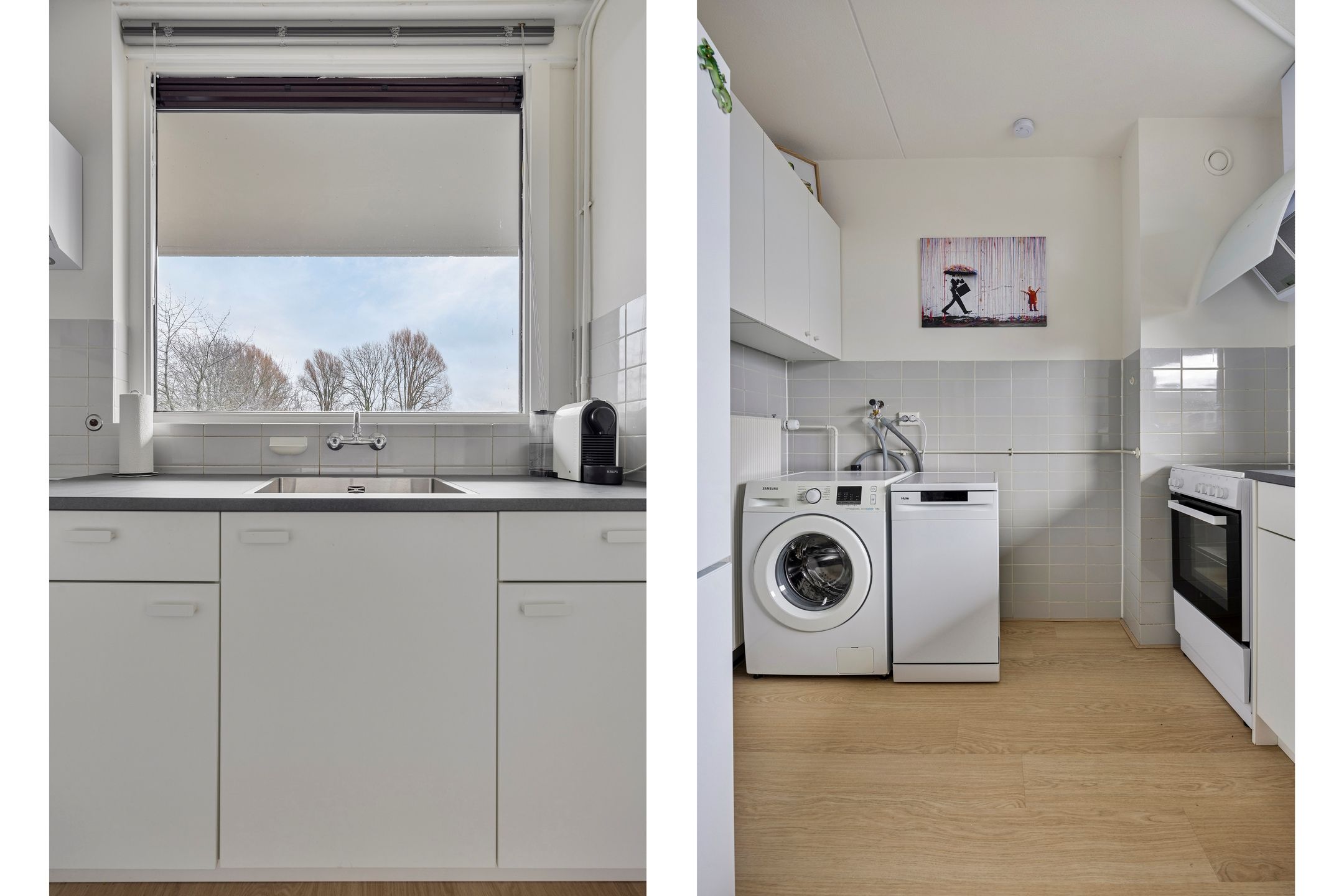 Foto 9 van Campanula 130