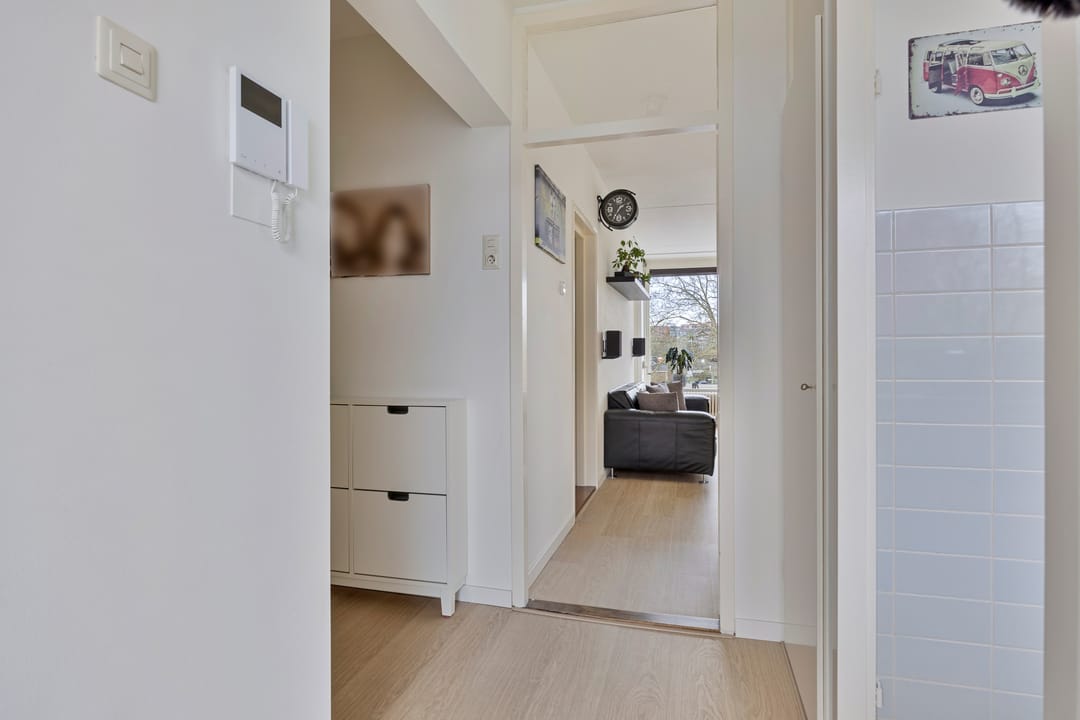 Foto 8 van Campanula 130