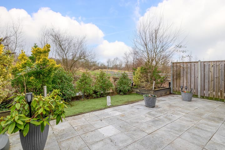 Foto 19 van Damsterwaard 101