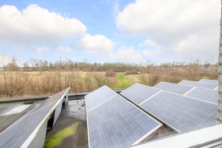 Foto 38 van Damsterwaard 101