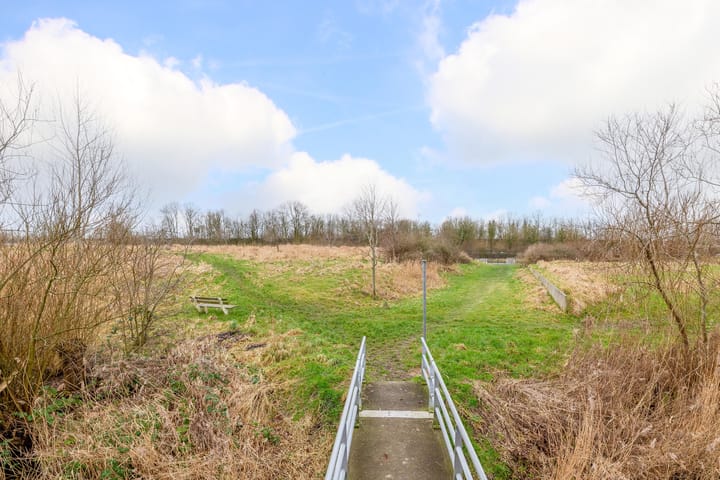 Foto 41 van Damsterwaard 101