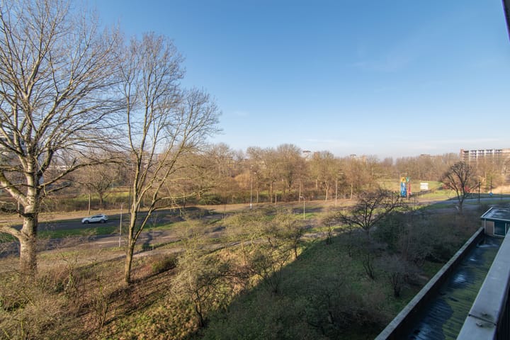 Foto 23 van Stadhoudersring 436